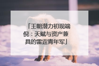 王朝潜力初现端倪：天赋与资产兼具的雷霆青年军