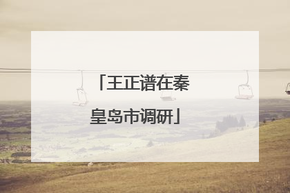 王正谱在秦皇岛市调研