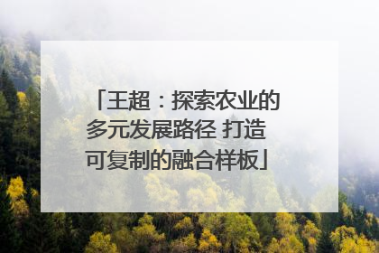 王超：探索农业的多元发展路径 打造可复制的融合样板