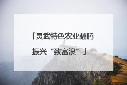 灵武特色农业翻腾振兴“致富浪”