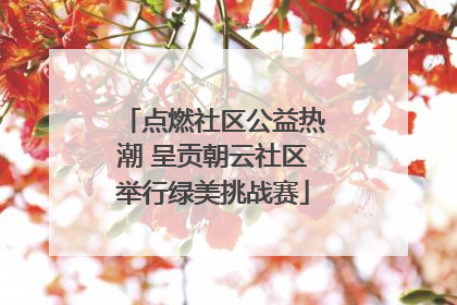 点燃社区公益热潮 呈贡朝云社区举行绿美挑战赛