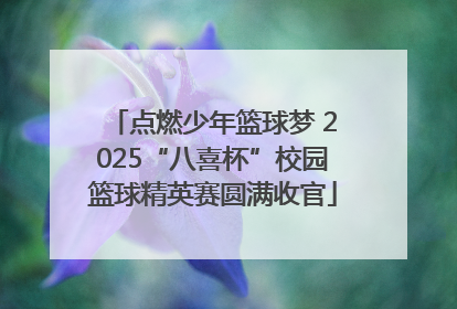 点燃少年篮球梦 2025“八喜杯”校园篮球精英赛圆满收官