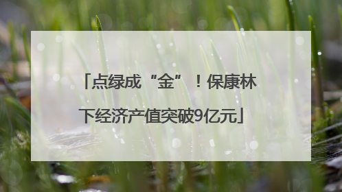 点绿成“金”！保康林下经济产值突破9亿元