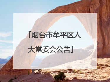 烟台市牟平区人大常委会公告