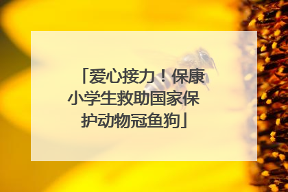 爱心接力！保康小学生救助国家保护动物冠鱼狗