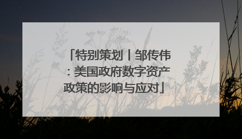 特别策划丨邹传伟：美国政府数字资产政策的影响与应对