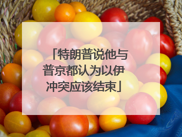 特朗普说他与普京都认为以伊冲突应该结束