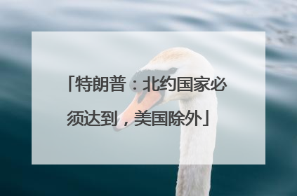 特朗普：北约国家必须达到，美国除外