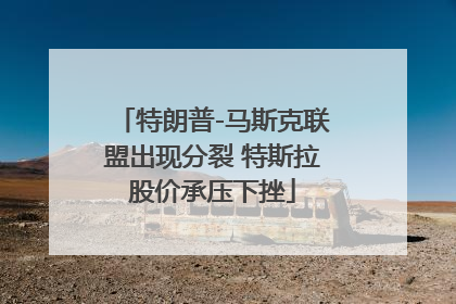 特朗普-马斯克联盟出现分裂 特斯拉股价承压下挫