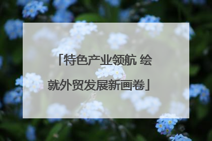 特色产业领航 绘就外贸发展新画卷