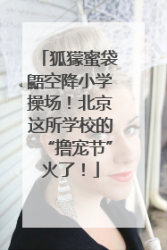 狐獴蜜袋鼯空降小学操场！北京这所学校的“撸宠节”火了！