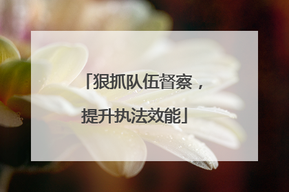 狠抓队伍督察，提升执法效能