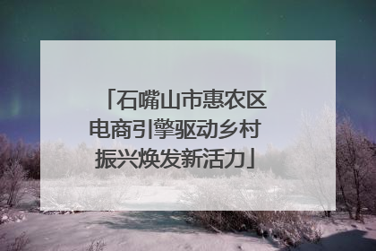 石嘴山市惠农区电商引擎驱动乡村振兴焕发新活力