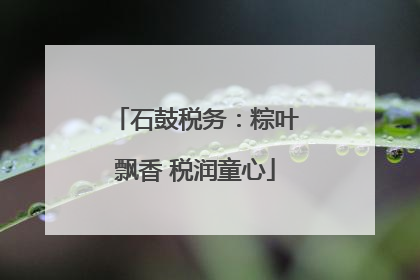 石鼓税务：粽叶飘香 税润童心