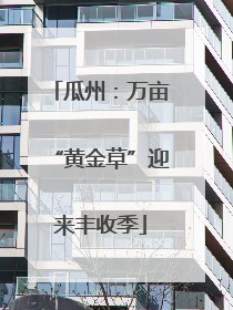 瓜州：万亩“黄金草”迎来丰收季