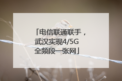 电信联通联手，武汉实现4/5G全频段一张网