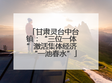 甘肃灵台中台镇：“三位一体”激活集体经济“一池春水”