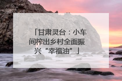 甘肃灵台：小车间榨出乡村全面振兴“幸福油”