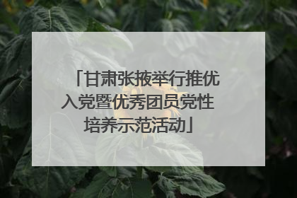 甘肃张掖举行推优入党暨优秀团员党性培养示范活动
