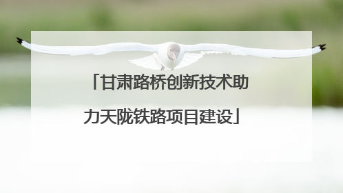 甘肃路桥创新技术助力天陇铁路项目建设