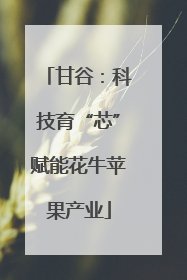 甘谷：科技育“芯”赋能花牛苹果产业