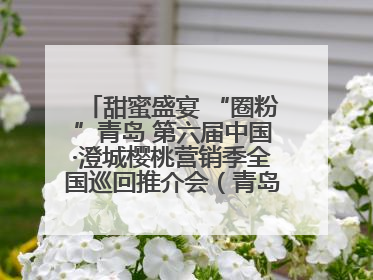 甜蜜盛宴 “圈粉”青岛 第六届中国·澄城樱桃营销季全国巡回推介会（青岛站）成功举办