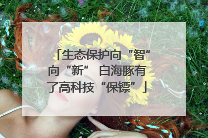 生态保护向“智”向“新” 白海豚有了高科技“保镖”