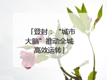 登封：“城市大脑”推动全城高效运转