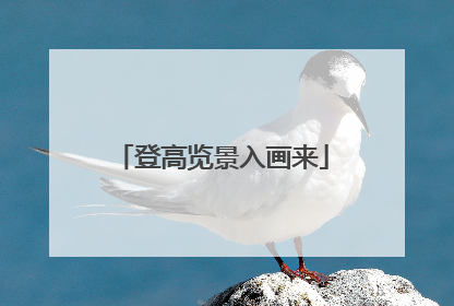 登高览景入画来