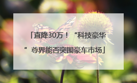 直降30万！“科技豪华”尊界能否突围豪车市场