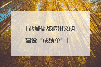 盐城盐都晒出文明建设“成绩单”