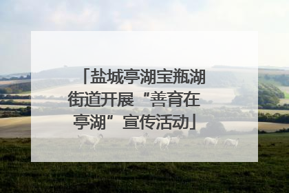 盐城亭湖宝瓶湖街道开展“善育在亭湖”宣传活动