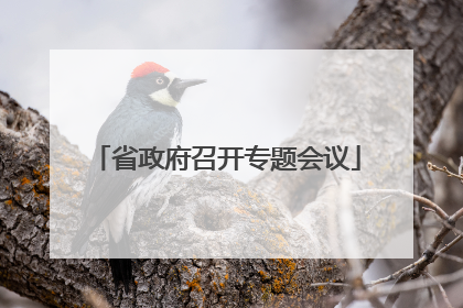 省政府召开专题会议