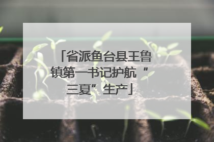 省派鱼台县王鲁镇第一书记护航“三夏”生产