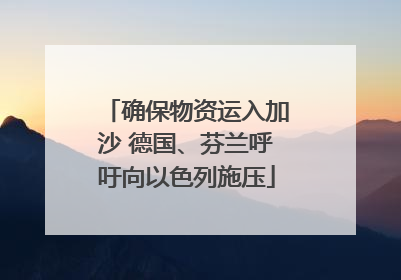 确保物资运入加沙 德国、芬兰呼吁向以色列施压