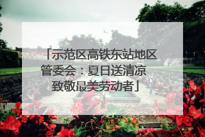 示范区高铁东站地区管委会：夏日送清凉 致敬最美劳动者
