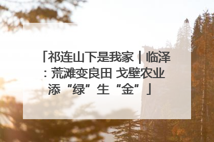 祁连山下是我家｜临泽：荒滩变良田 戈壁农业添“绿”生“金”