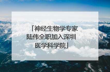 神经生物学专家陆伟全职加入深圳医学科学院