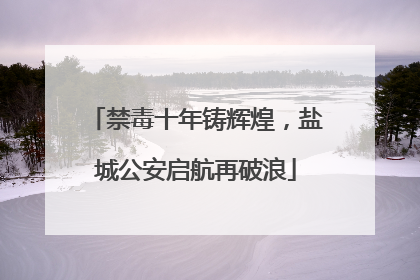 禁毒十年铸辉煌，盐城公安启航再破浪