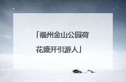 福州金山公园荷花盛开引游人