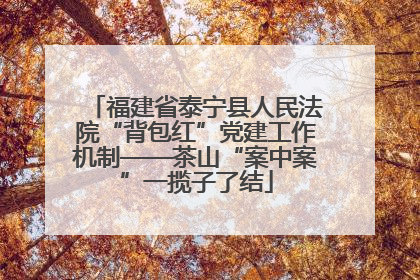 福建省泰宁县人民法院“背包红”党建工作机制——茶山“案中案”一揽子了结