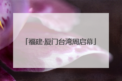 福建·厦门台湾周启幕