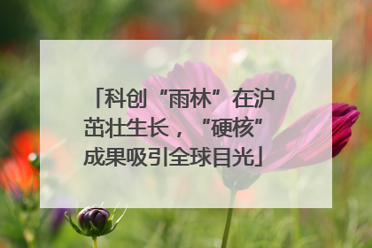 科创“雨林”在沪茁壮生长，“硬核”成果吸引全球目光