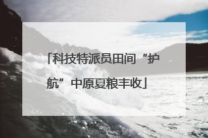 科技特派员田间“护航”中原夏粮丰收