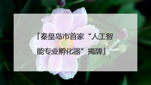 秦皇岛市首家“人工智能专业孵化器”揭牌
