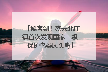 稀客到！密云北庄镇首次发现国家二级保护鸟类凤头鹰