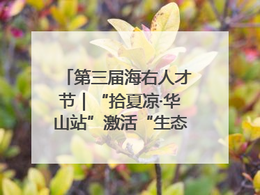 第三届海右人才节｜“拾夏凉·华山站”激活“生态聚才”强磁场
