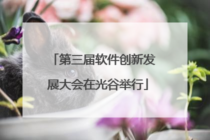第三届软件创新发展大会在光谷举行