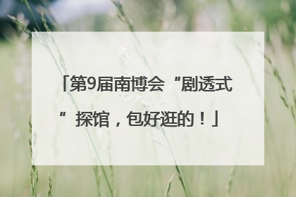 第9届南博会“剧透式”探馆，包好逛的！