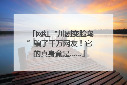 网红“川剧变脸鸟”骗了千万网友！它的真身竟是……